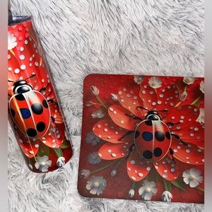 3D Ladybug matching set